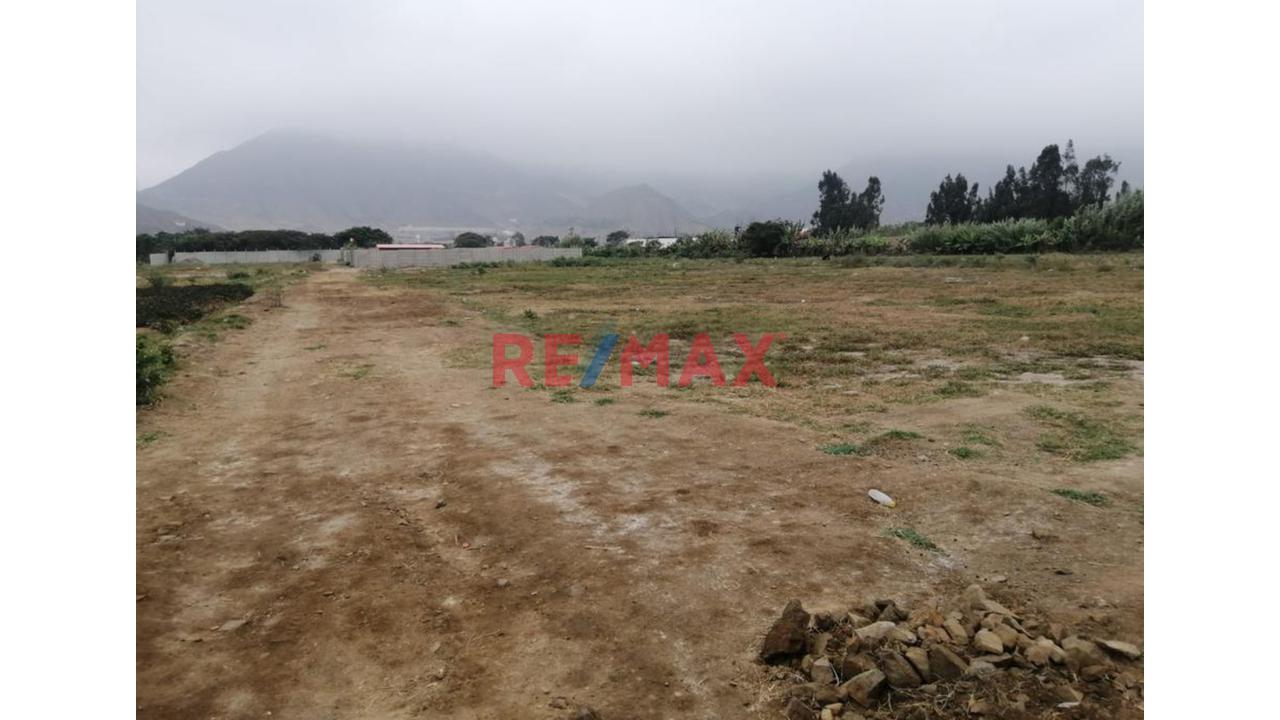Venta De Terreno Agrigola En Pachacamac 30,000M2 - 5