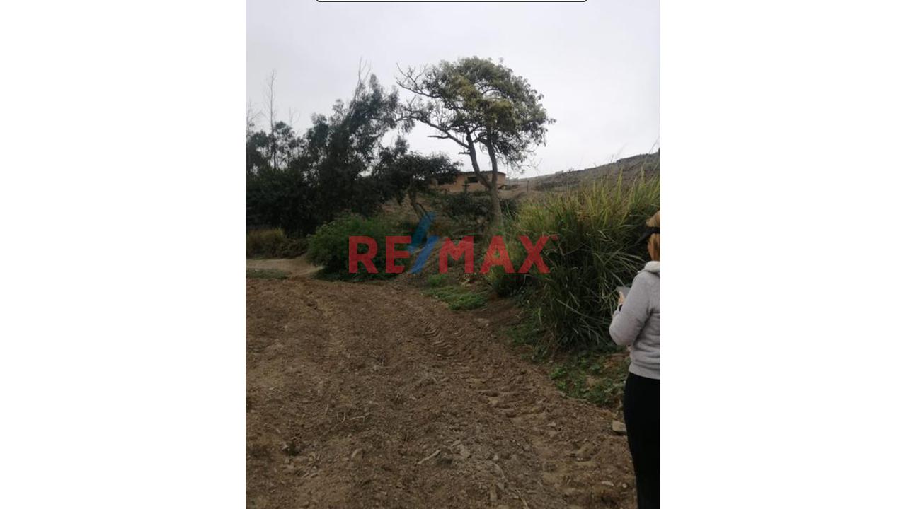 Venta De Terreno Agrigola En Pachacamac 30,000M2 - 6