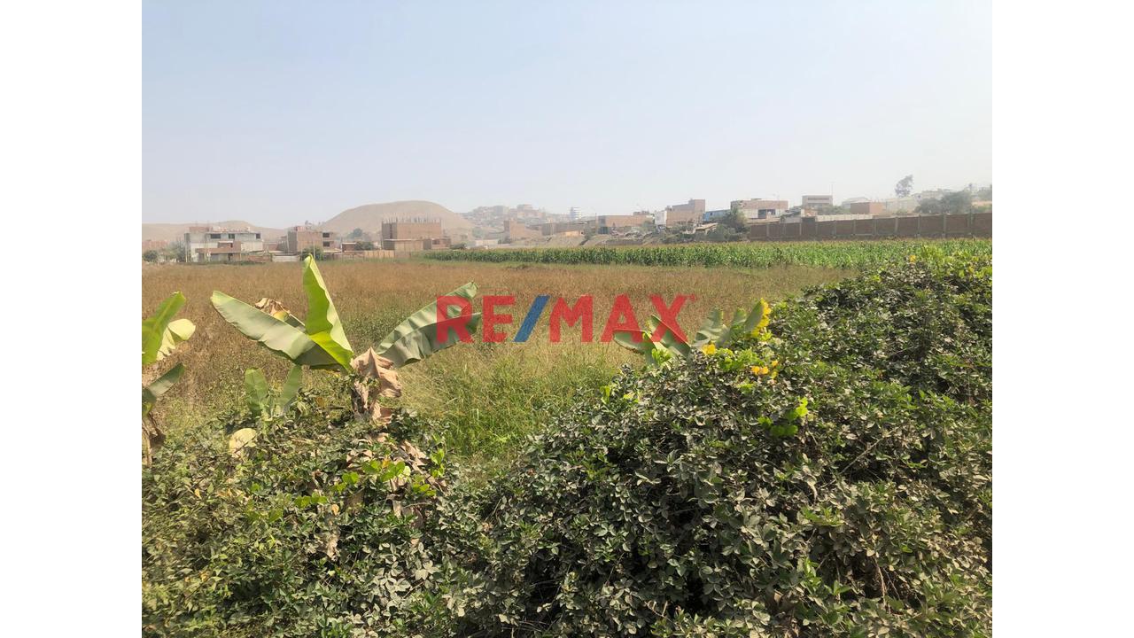 Venta De Terreno Urbano Con Zonificacion De Rdm. Zona De Residencial Media De 10333.55 M2 En Fundos Cuadros Ex San Lorenzo Uc10076 Y Uc10067 Sub Parcela  6 En Carabayllo — foto 6