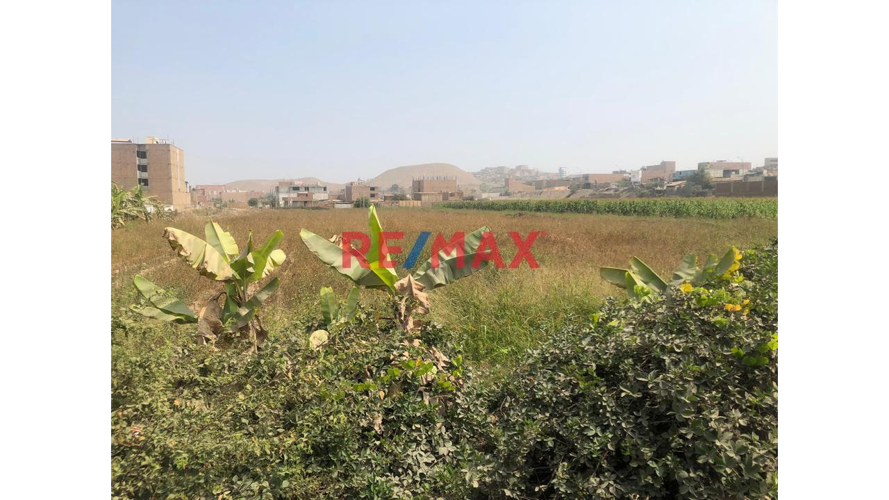 Venta De Terreno Urbano Con Zonificacion De Rdm. Zona De Residencial Media De 10333.55 M2 En Fundos Cuadros Ex San Lorenzo Uc10076 Y Uc10067 Sub Parcela  6 En Carabayllo — foto 5