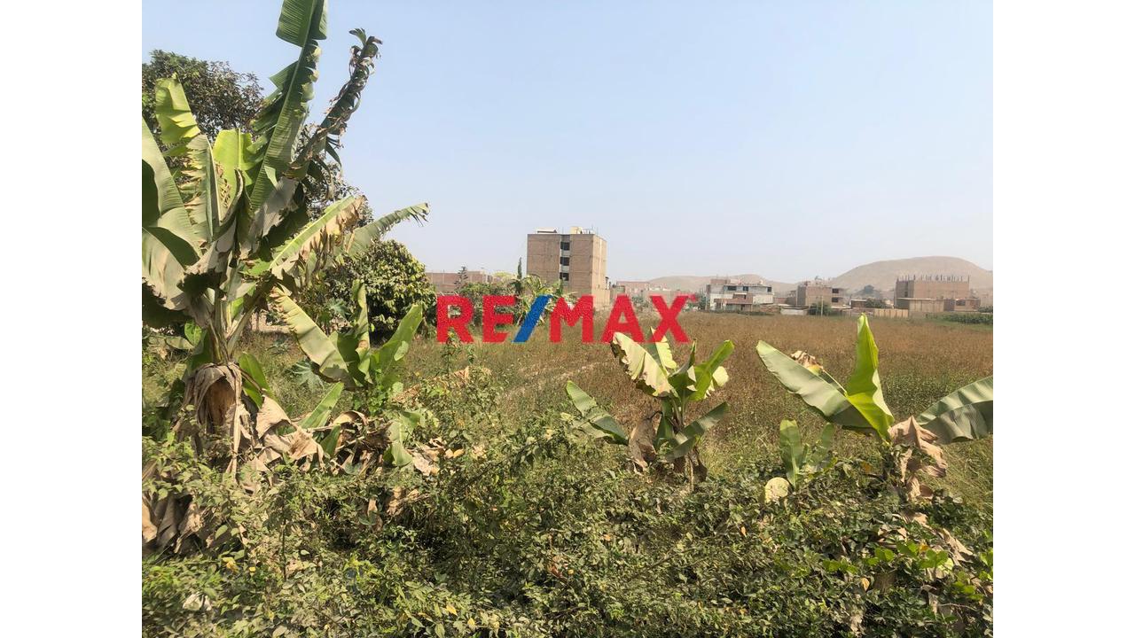Venta De Terreno Urbano Con Zonificacion De Rdm. Zona De Residencial Media De 10333.55 M2 En Fundos Cuadros Ex San Lorenzo Uc10076 Y Uc10067 Sub Parcela 6 En Carabayllo
