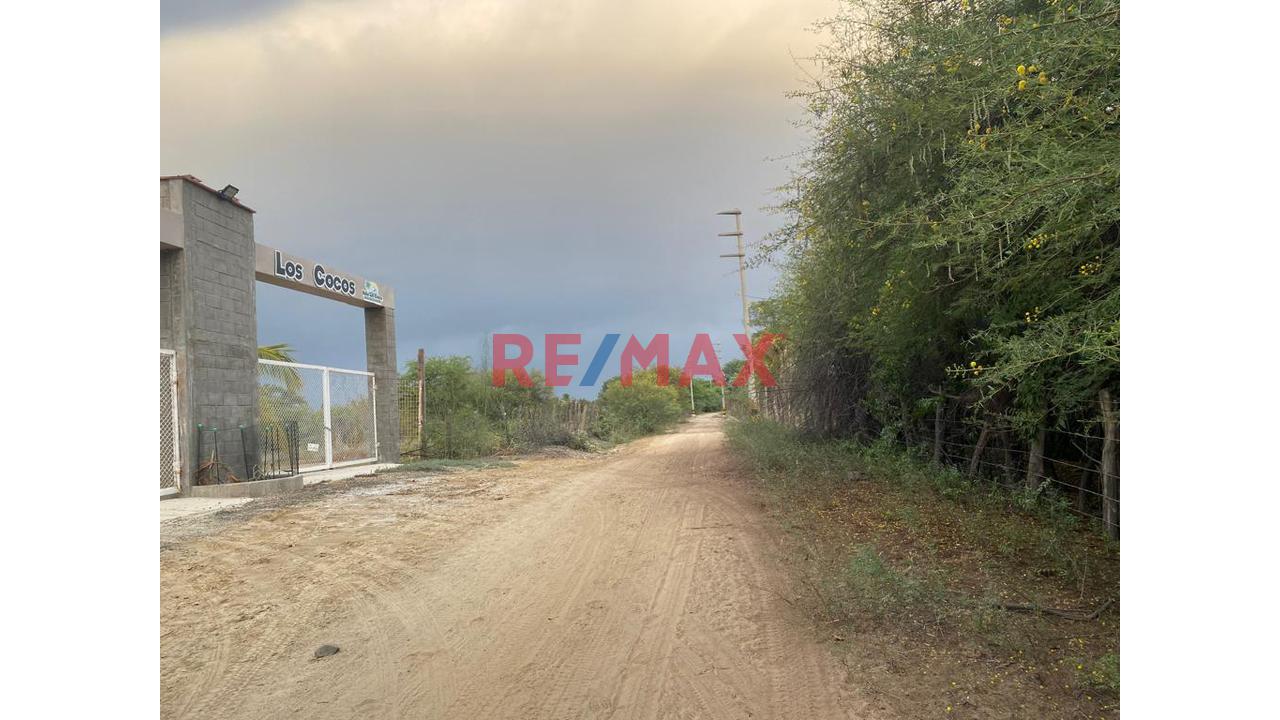 Terreno En Venta En Cieneguillo Sur 4.6 Has — foto 11