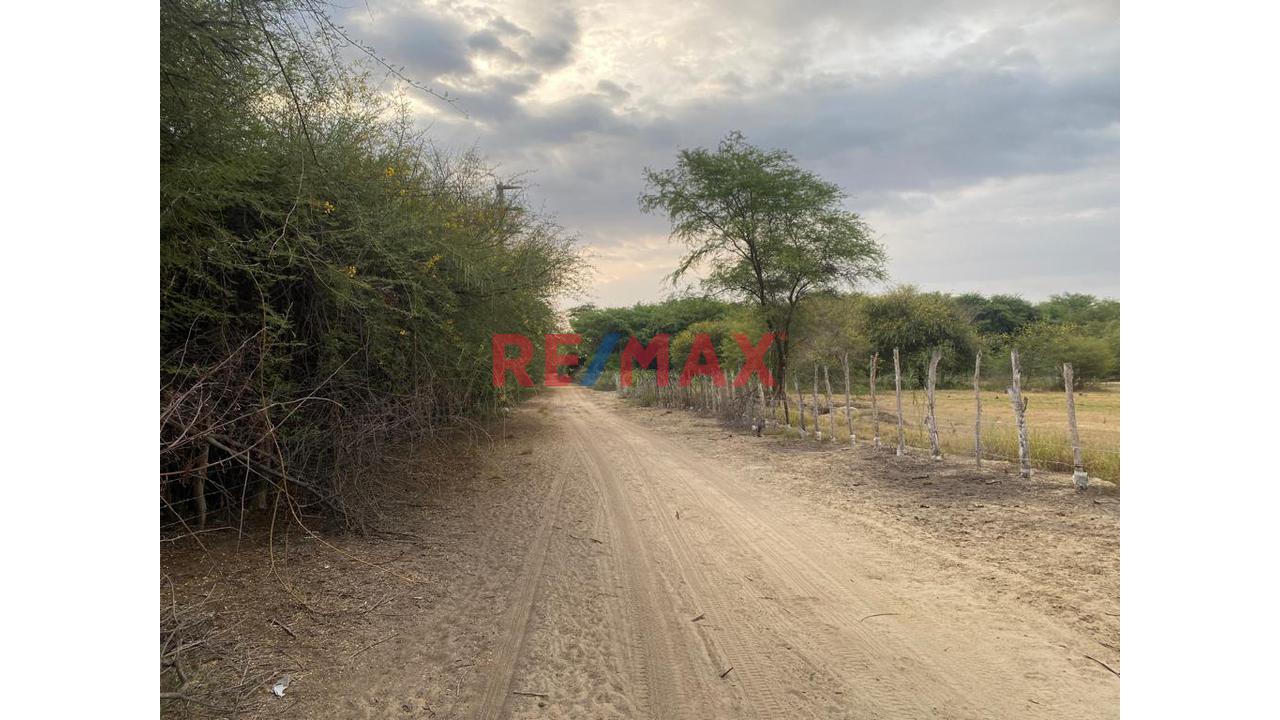 Terreno En Venta En Cieneguillo Sur 4.6 Has — foto 10