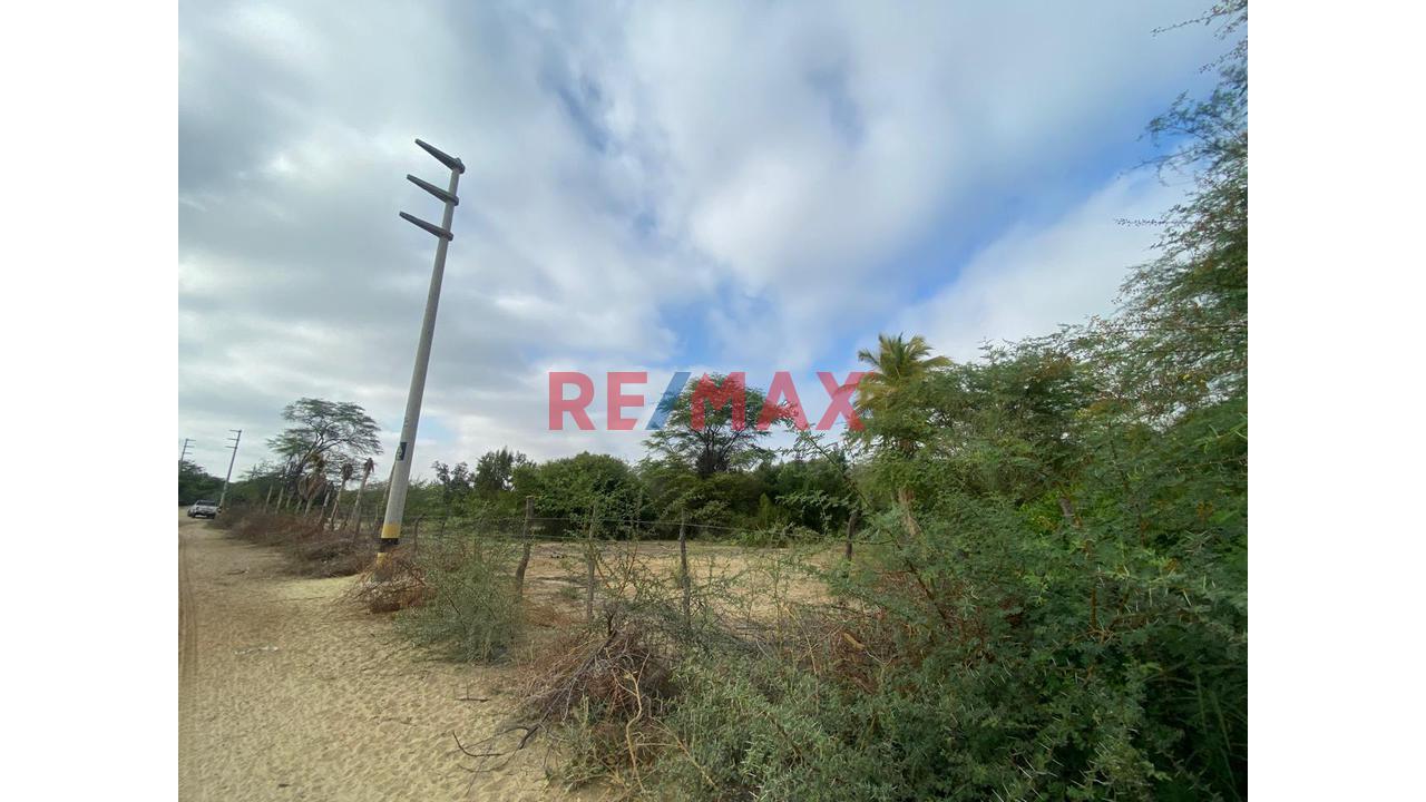 Terreno En Venta En Cieneguillo Sur 4.6 Has — foto 4