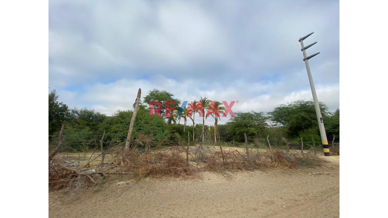 Terreno En Venta En Cieneguillo Sur 4.6 Has — foto 3