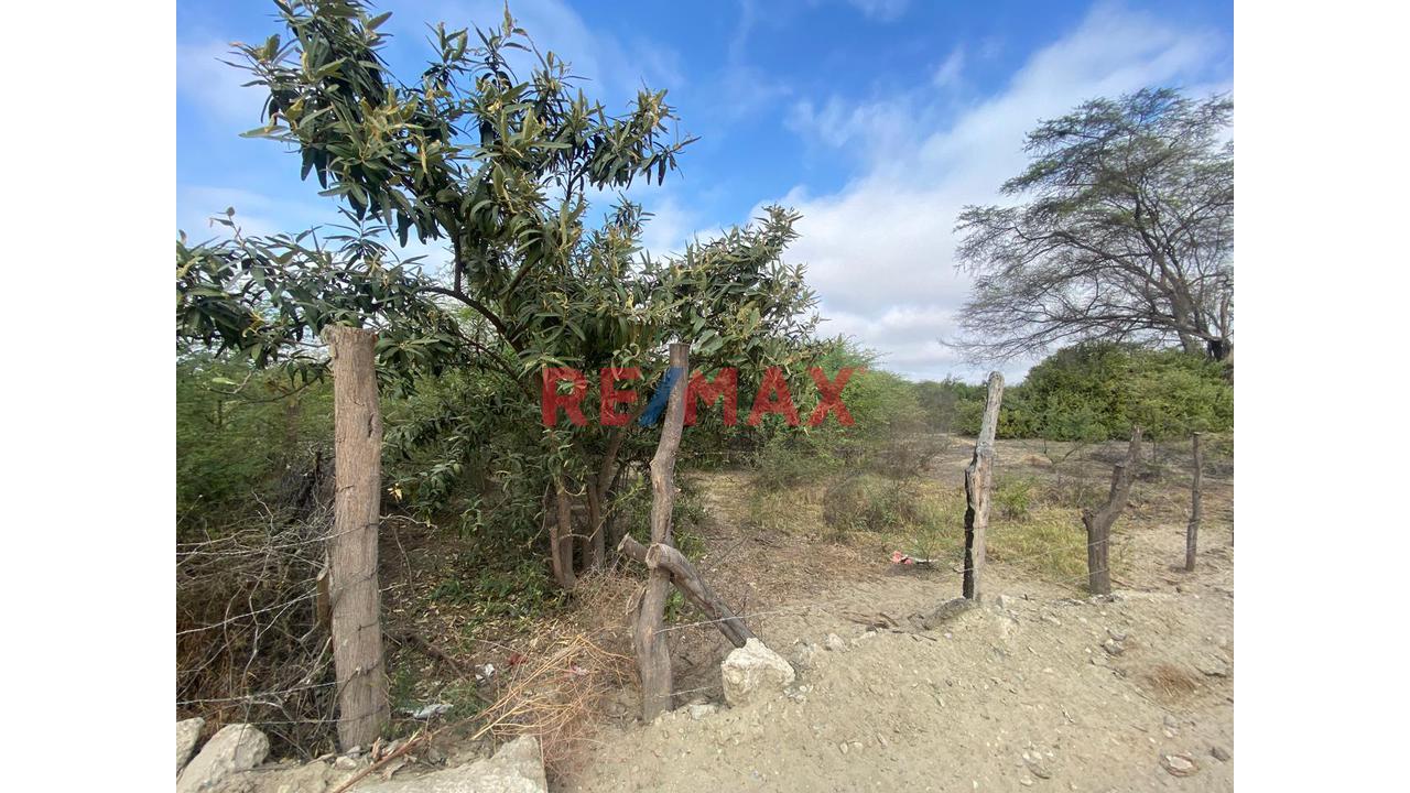 Terreno En Venta En Cieneguillo Sur 4.6 Has — foto 5