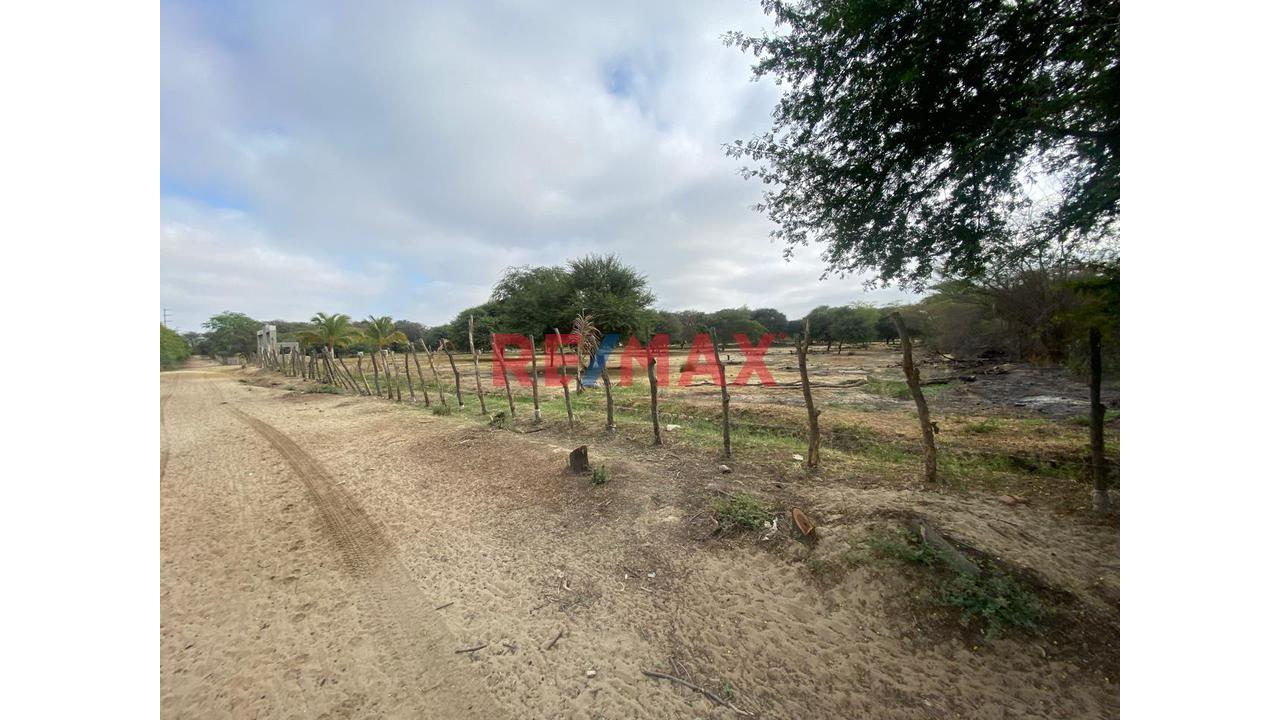 Terreno En Venta En Cieneguillo Sur 4.6 Has — foto 2