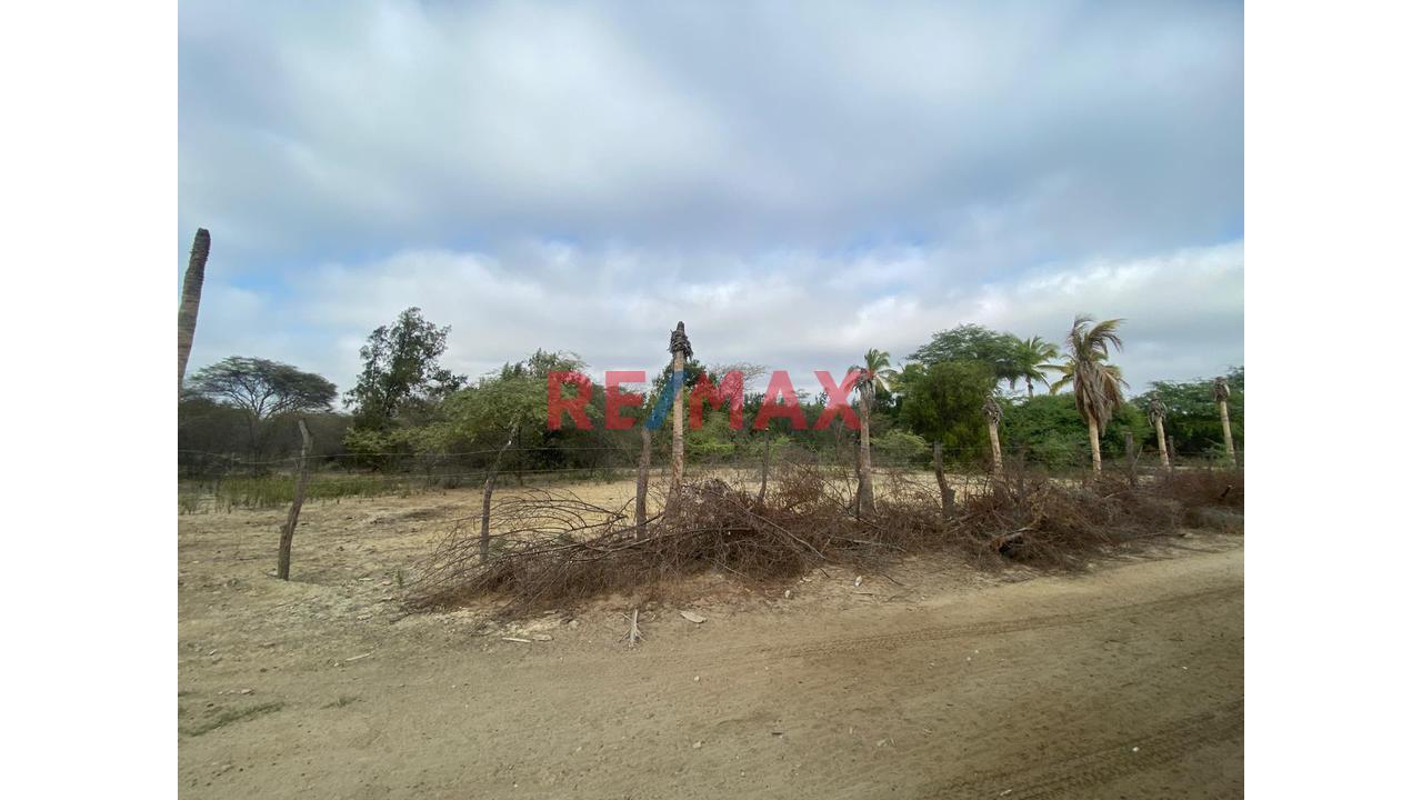 Terreno En Venta En Cieneguillo Sur 4.6 Has