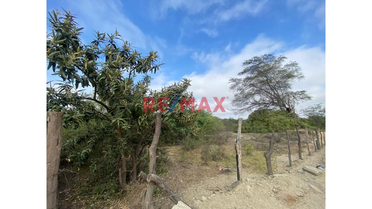 Terreno En Venta En Cieneguillo Sur 4.6 Has — foto 6
