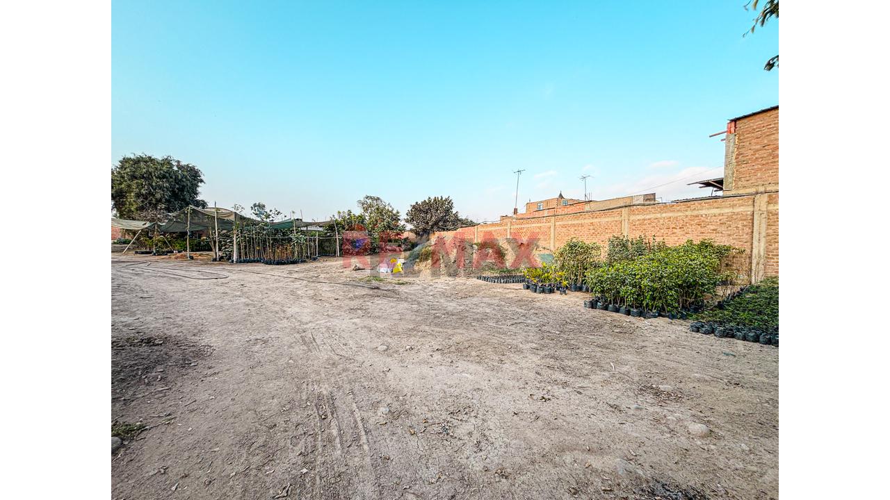 Venta De Terreno 5,000 M² – Puente Piedra - 18
