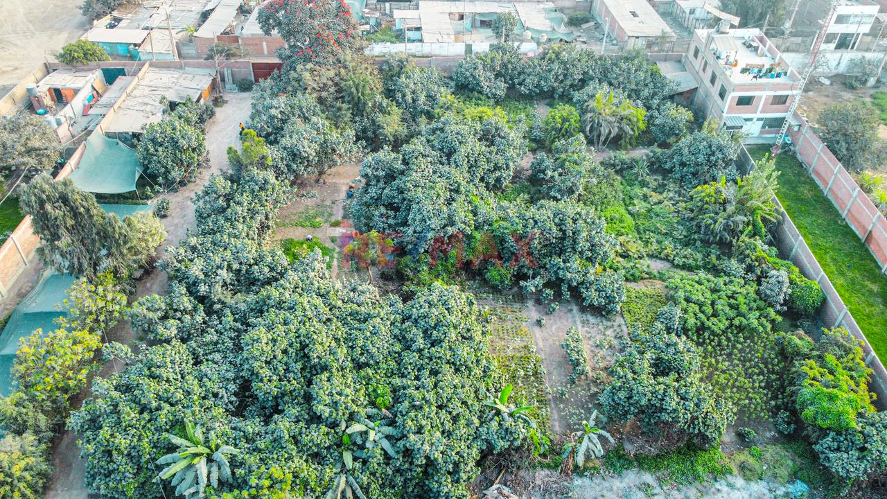 Venta De Terreno 5,000 M² – Puente Piedra - 5