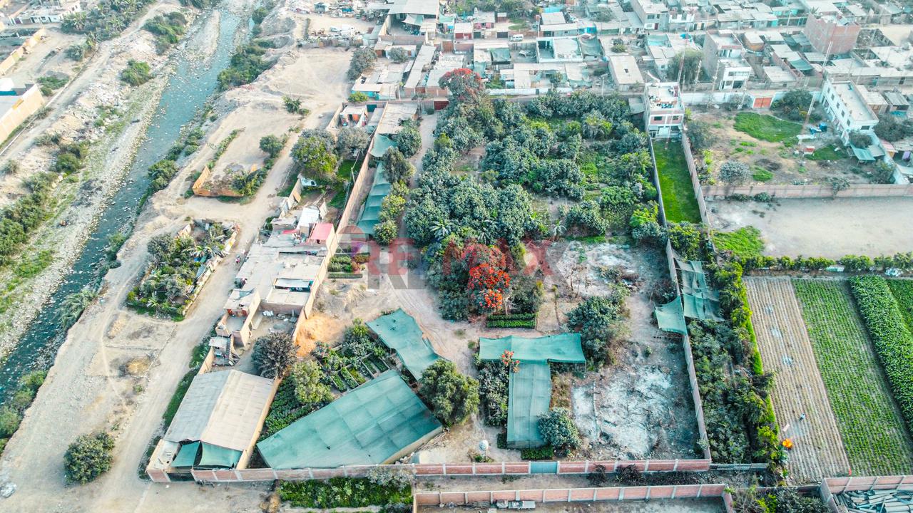 Venta De Terreno 5,000 M² – Puente Piedra - 4