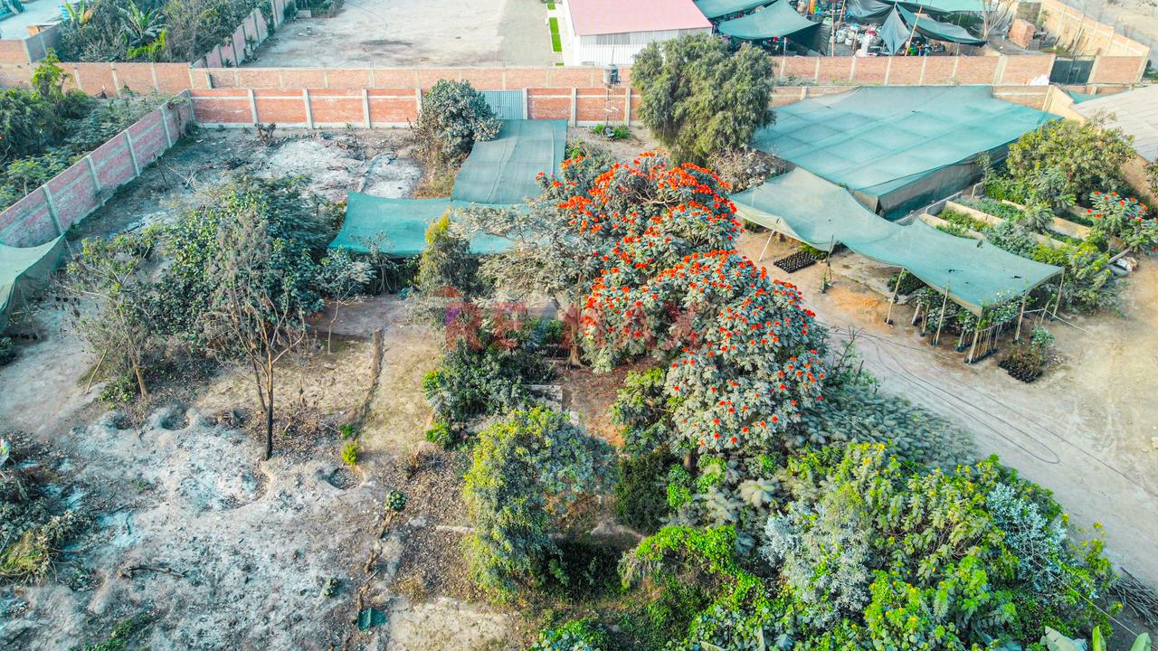 Venta De Terreno 5,000 M² – Puente Piedra - 2