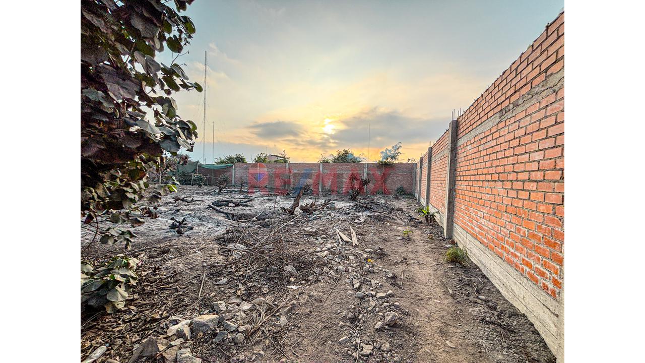 Venta De Terreno 5,000 M² – Puente Piedra - 8