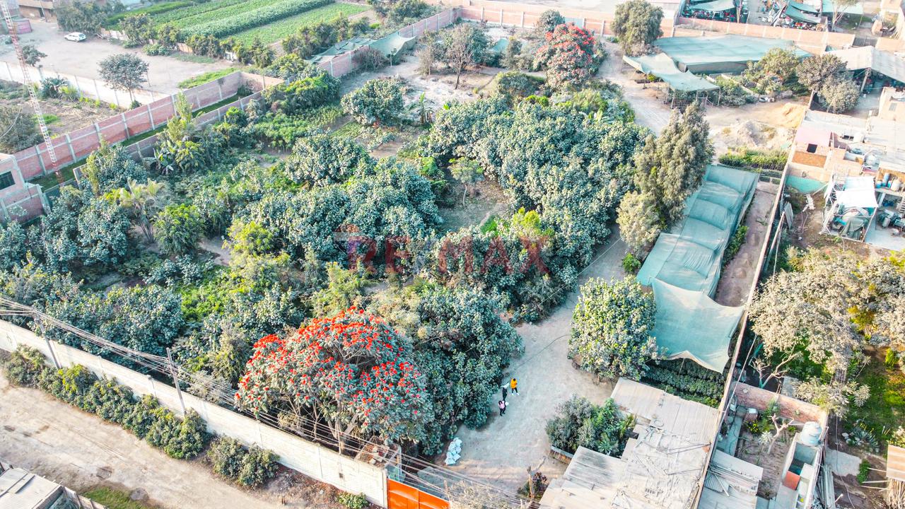 Venta De Terreno 5,000 M² – Puente Piedra - 9