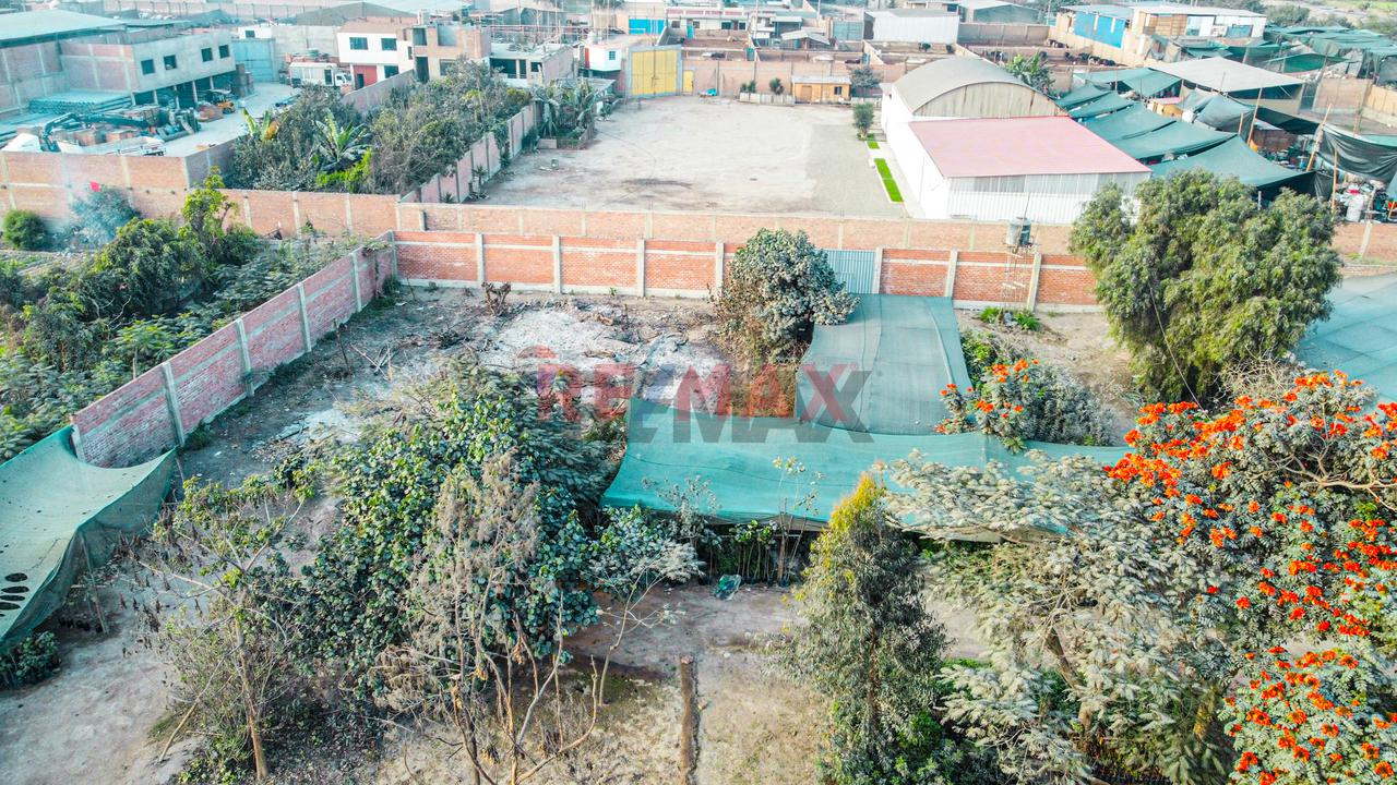 Venta De Terreno 5,000 M² – Puente Piedra - 17