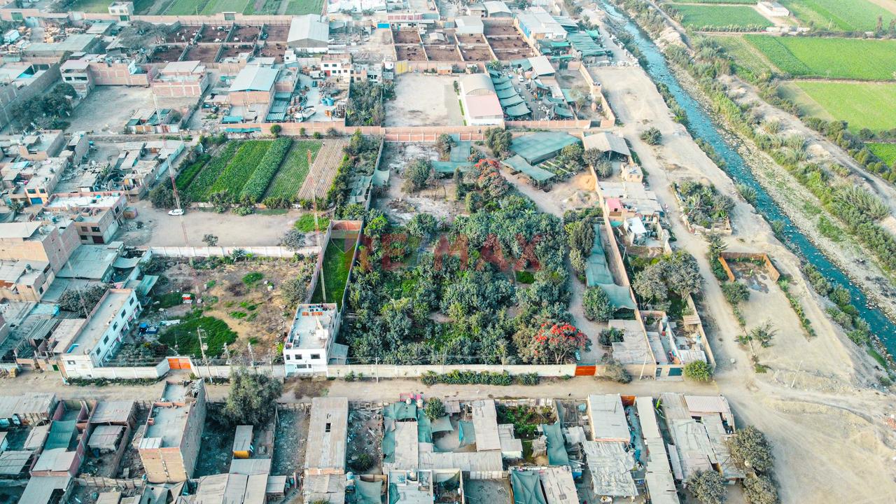 Venta De Terreno 5,000 M² – Puente Piedra - 12