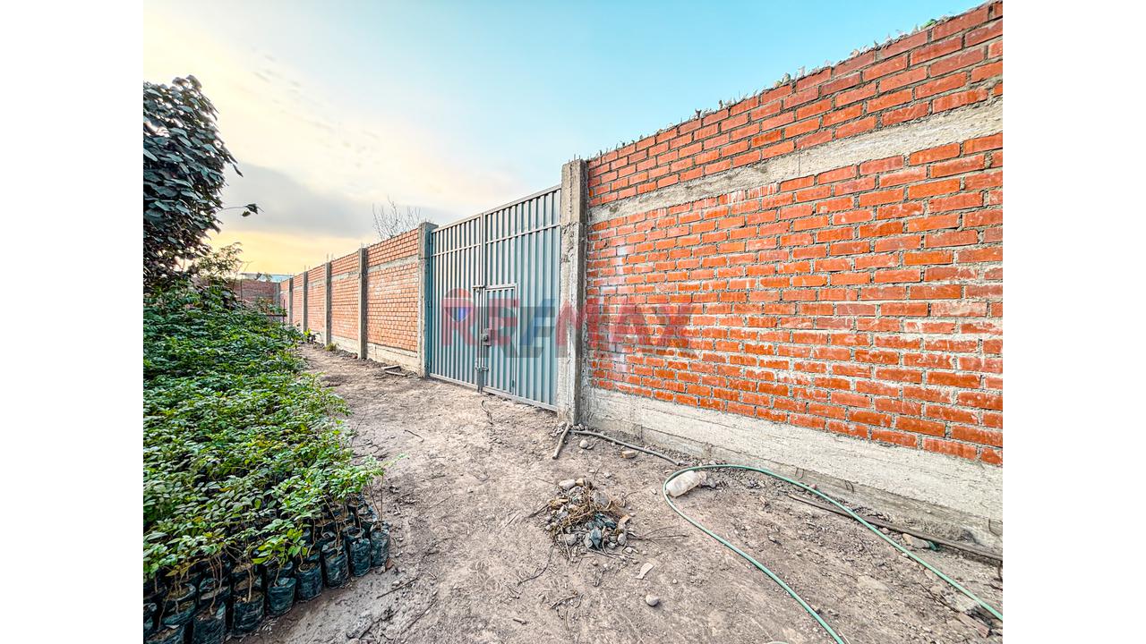 Venta De Terreno 5,000 M² – Puente Piedra - 6