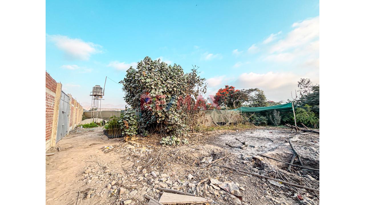 Venta De Terreno 5,000 M² – Puente Piedra - 13