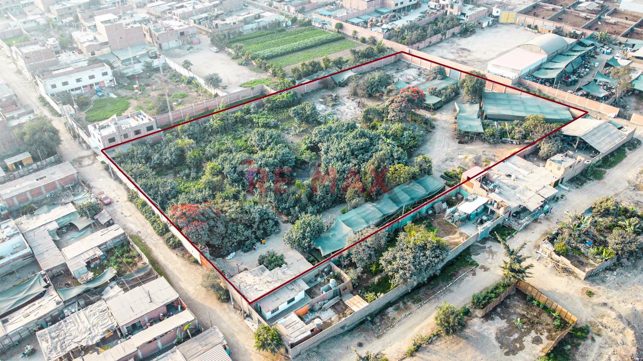 Venta De Terreno 5,000 M² – Puente Piedra - 21
