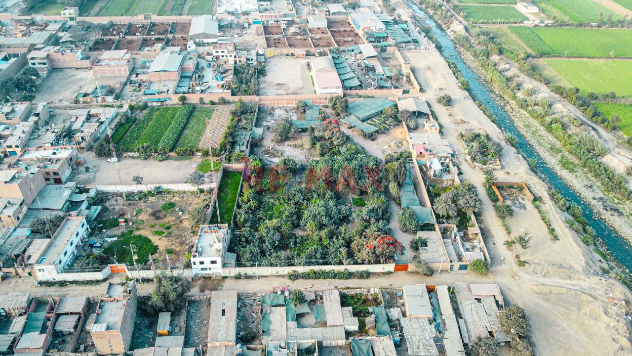 Venta De Terreno 5,000 M² – Puente Piedra - 14