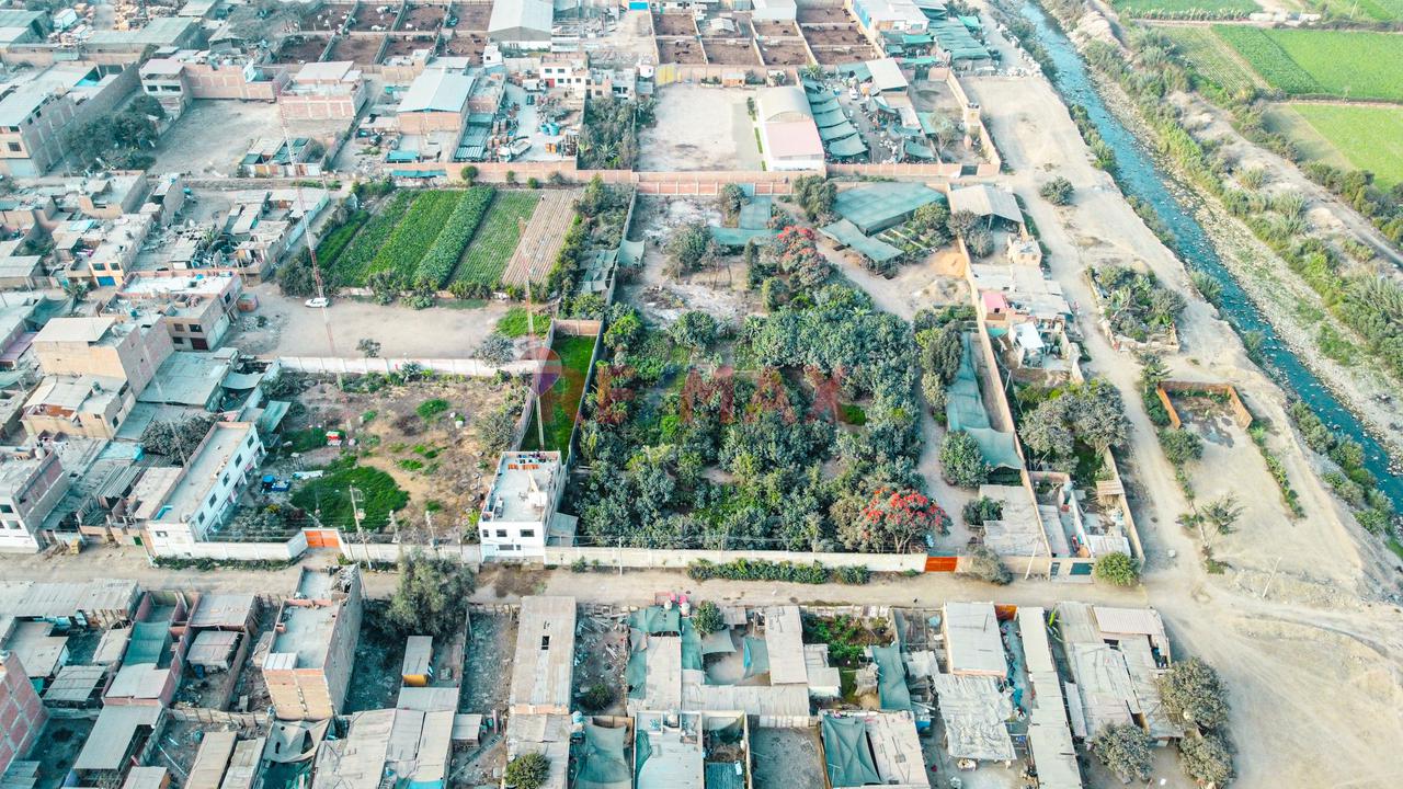 Venta De Terreno 5,000 M² – Puente Piedra - 7