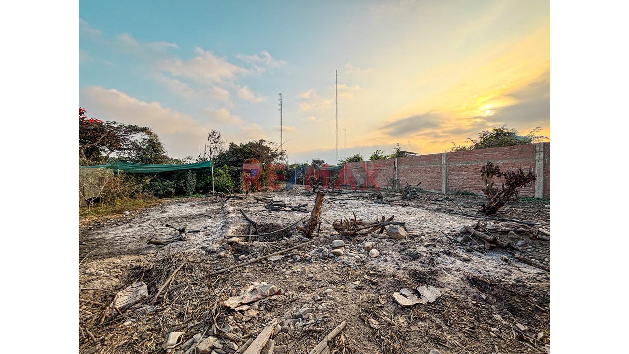Venta De Terreno 5,000 M² – Puente Piedra - 10