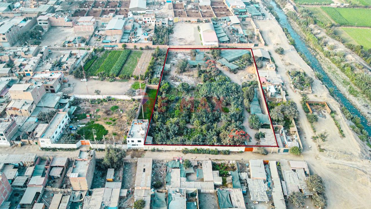 Venta De Terreno 5,000 M² – Puente Piedra - 20