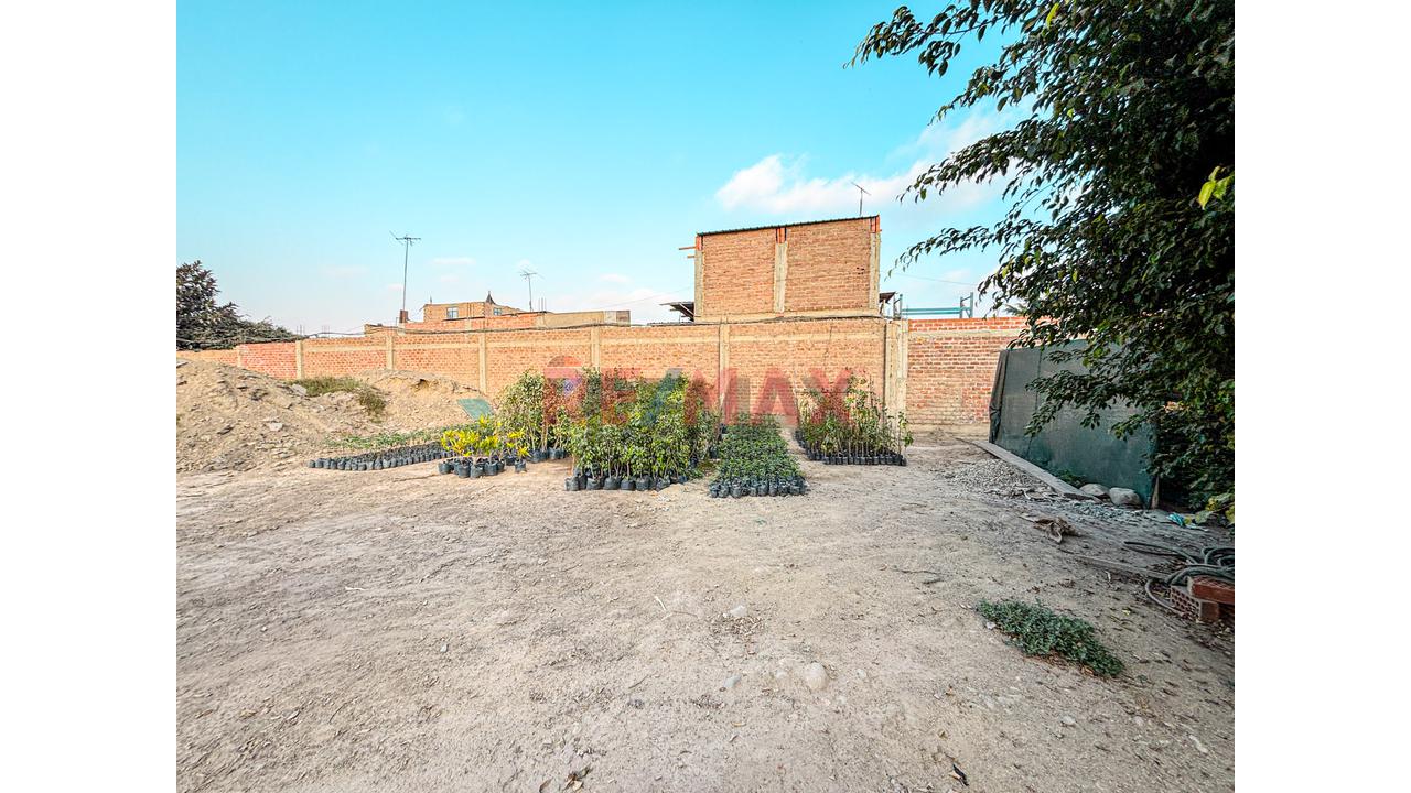 Venta De Terreno 5,000 M² – Puente Piedra - 16