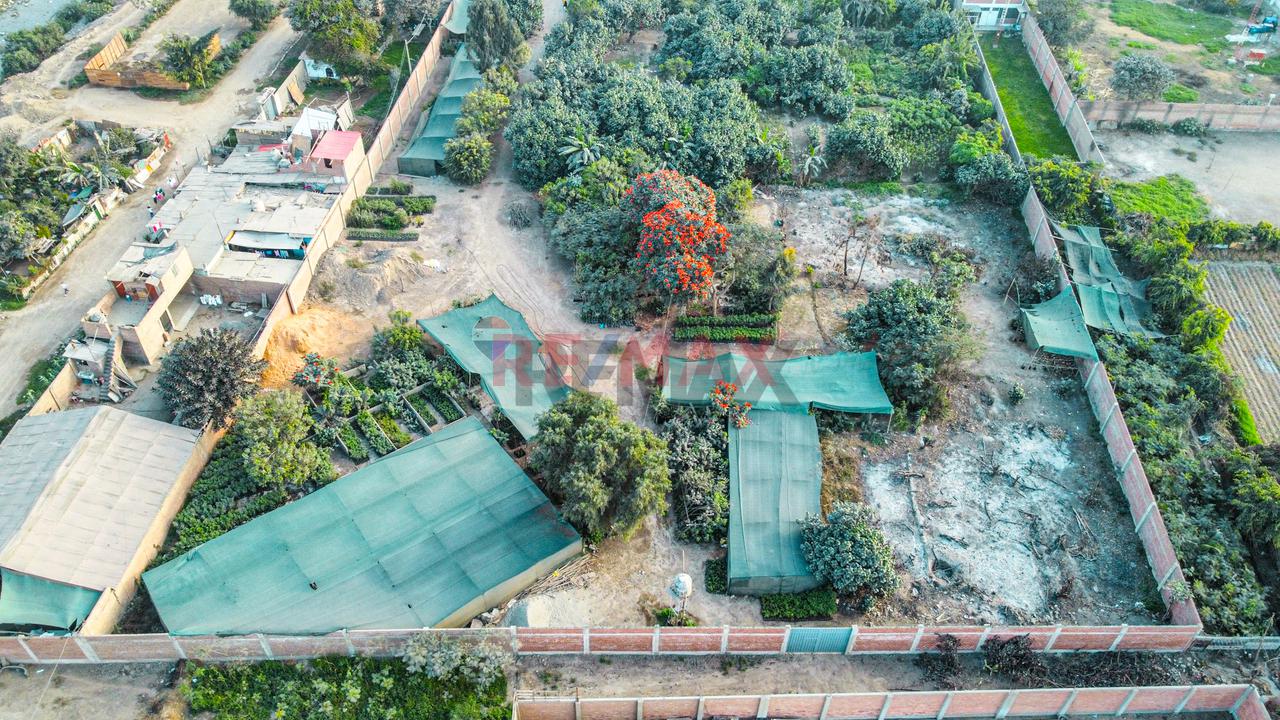 Venta De Terreno 5,000 M² – Puente Piedra - 3
