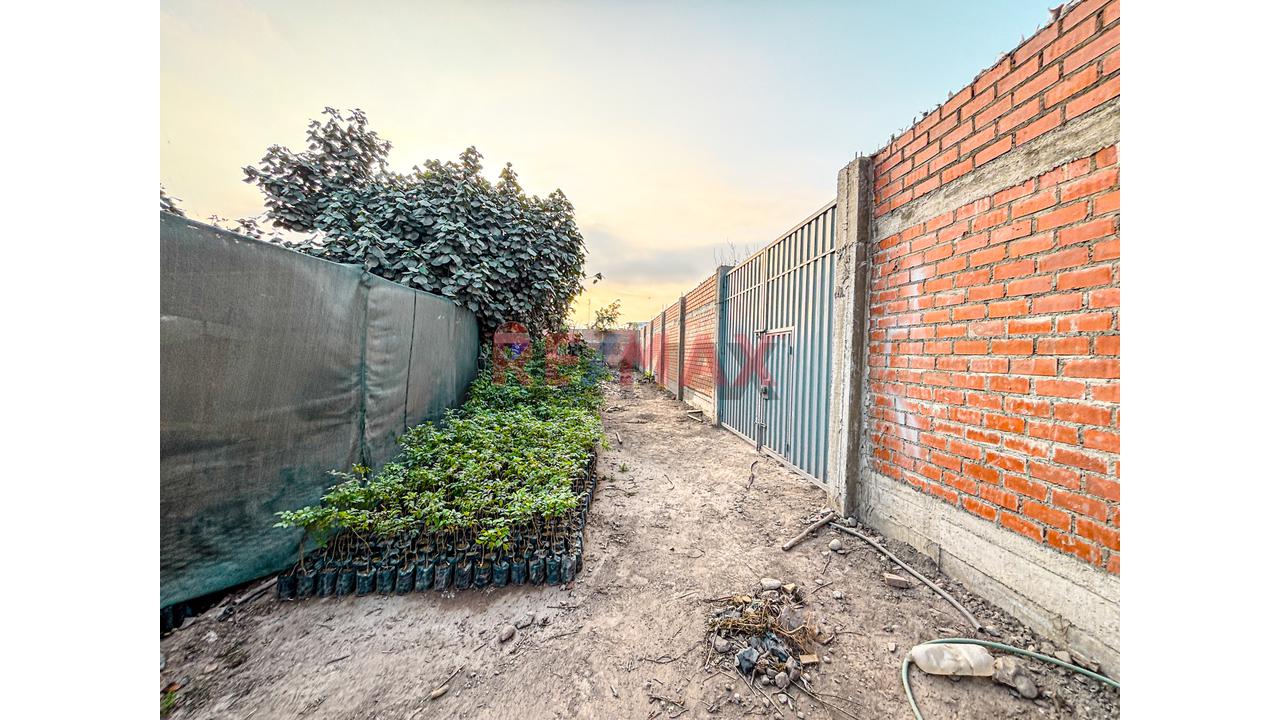 Venta De Terreno 5,000 M² – Puente Piedra - 15