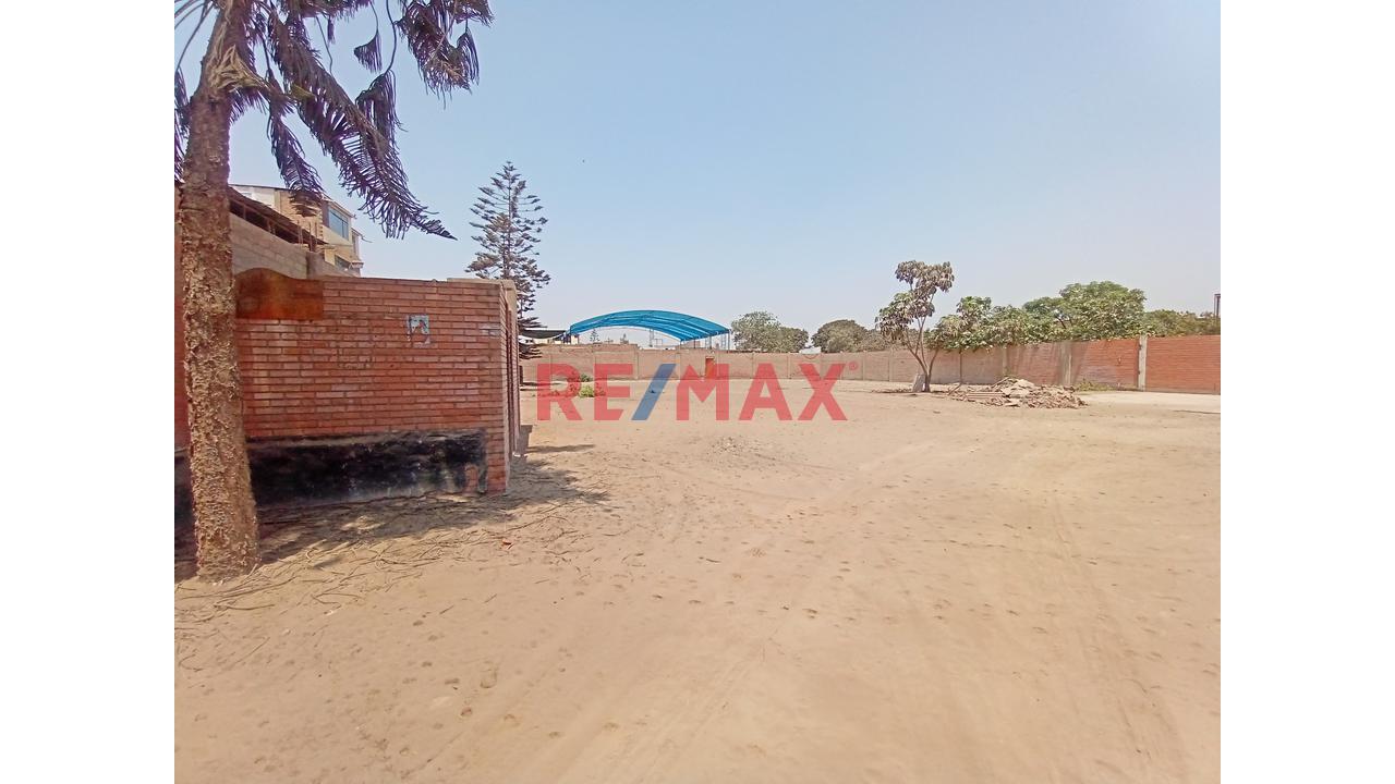 Terreno En Venta En Puente Piedra - 3