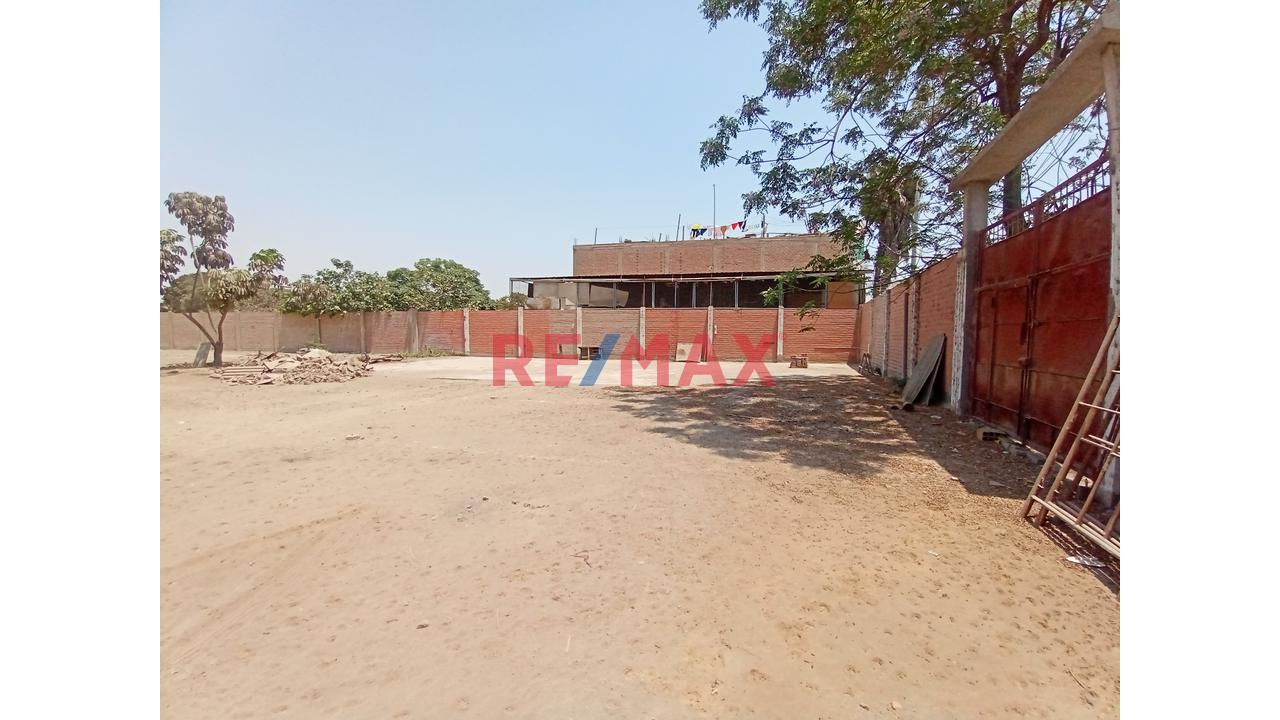 Terreno En Venta En Puente Piedra - 5