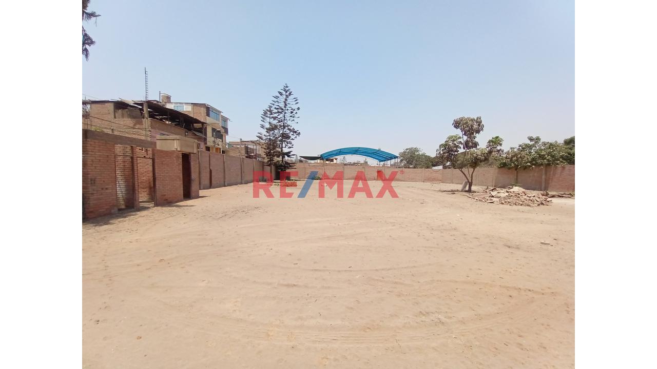 Terreno En Venta En Puente Piedra - 6