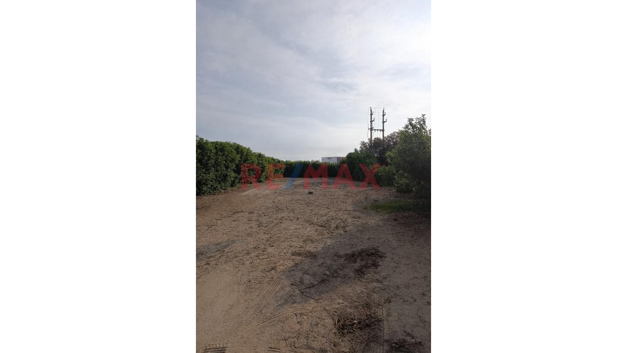 Terreno De 700 M² En Alto Pradera, Asia - Ideal Para Tu Casa De Playa — foto 5