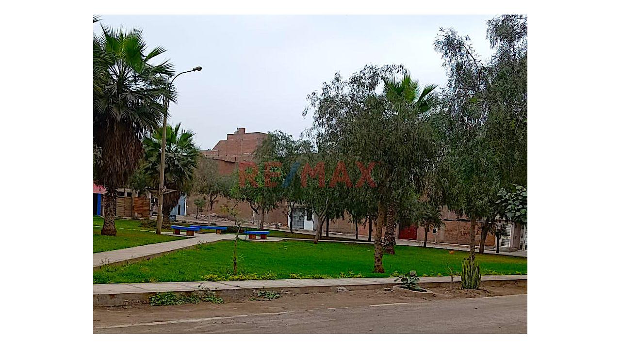 🏡 Terreno En San Antonio De Carabayllo – ¡Ubicación Privilegiada! 🌟 — foto 3