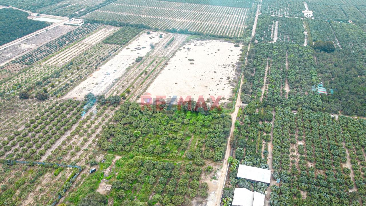 Gran Oportunidad De Inversion: Amplio Terreno Para Uso Industrial O Almacen Rodeado De Naturaleza Y Campos Verdes | Huaral - 3