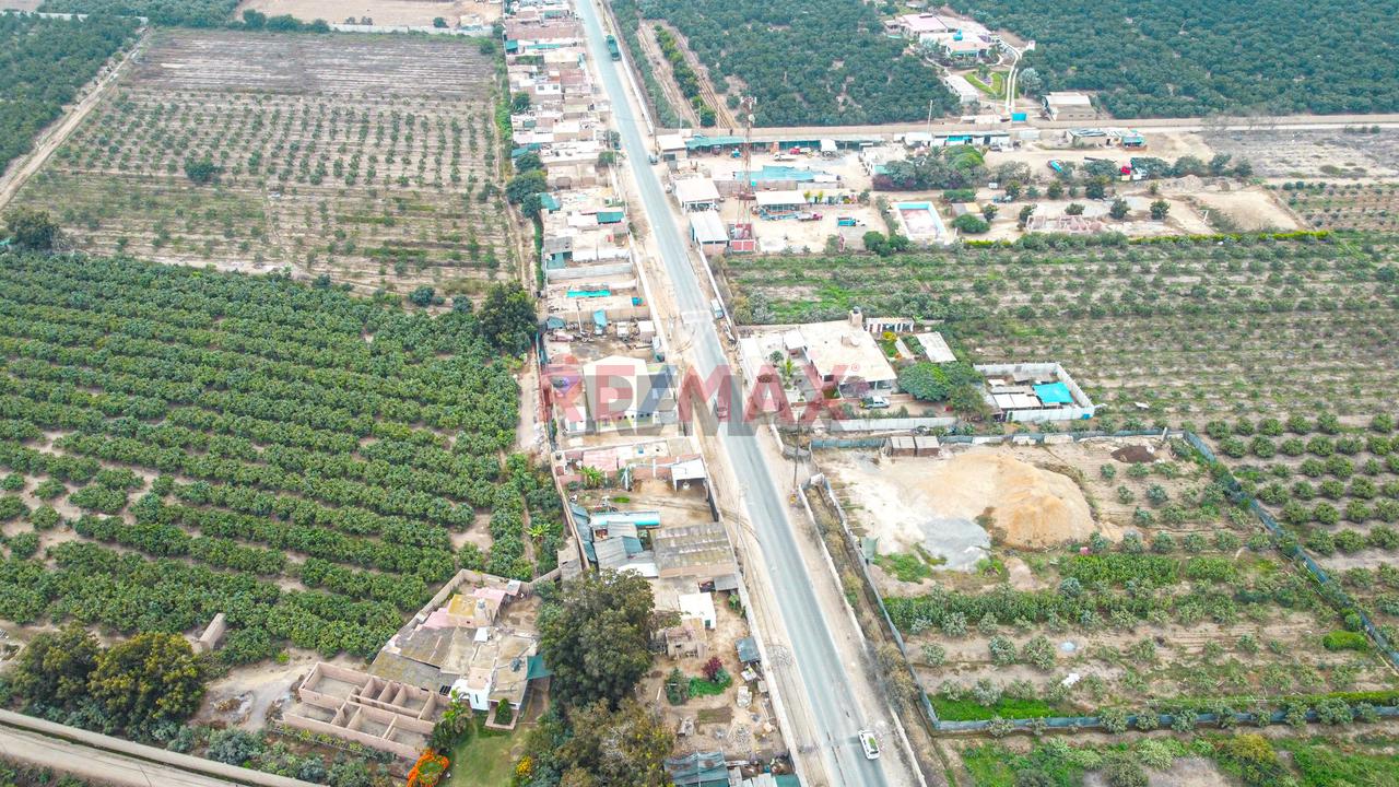 Gran Oportunidad De Inversion: Amplio Terreno Para Uso Industrial O Almacen Rodeado De Naturaleza Y Campos Verdes | Huaral - 4