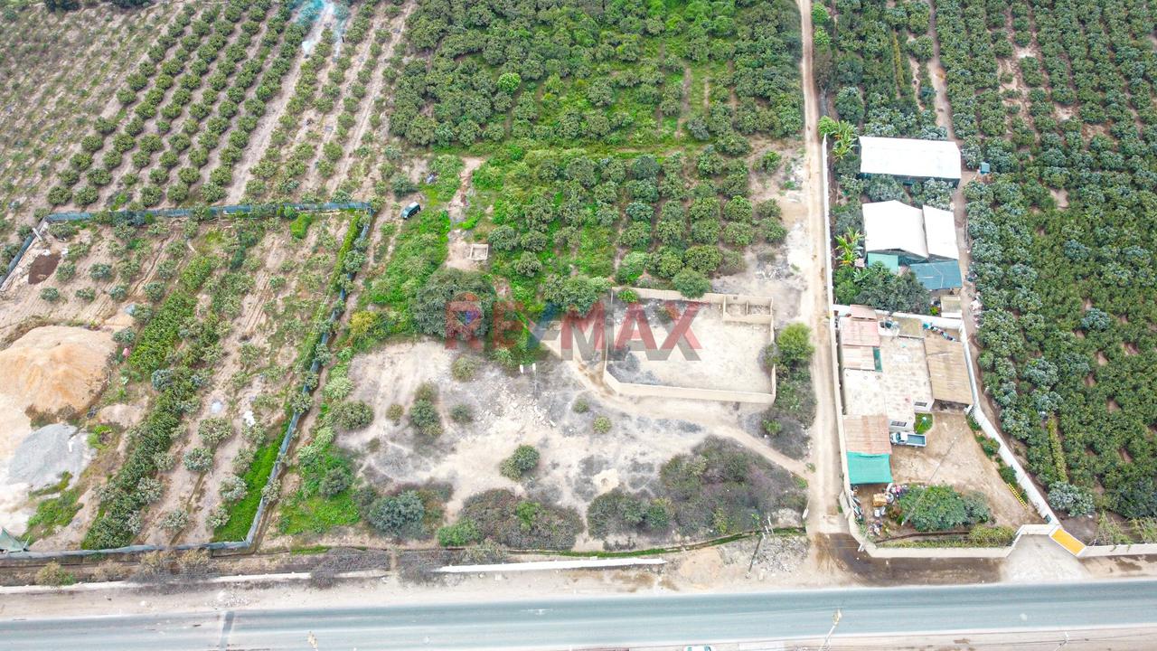 Gran Oportunidad De Inversion: Amplio Terreno Para Uso Industrial O Almacen Rodeado De Naturaleza Y Campos Verdes | Huaral - 5