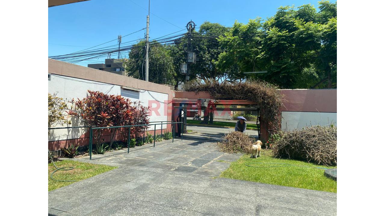 Oportunidad Única! Vendo Casa Como Terreno – 500 M² – San Isidro - 8