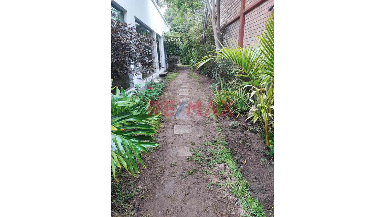 ¡Atención Inversionistas! Exclusiva Casa O Terreno En Venta En Surco Con Piscina, Cancha De Fronton Y Amplios Ambientes — foto 3