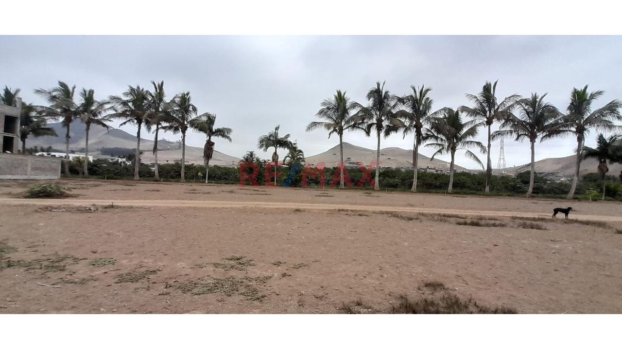 Terreno en Venta ubicado en Lurin Terreno en Venta ubicado en Lurin