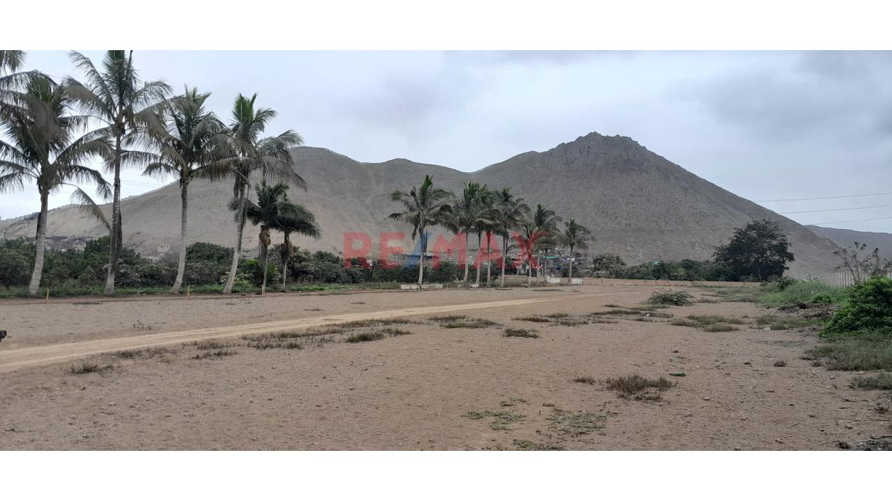 Terreno en Venta ubicado en A.h Rinconada Alta De Puruhuay Terreno en Venta ubicado en A.h Rinconada Alta De Puruhuay