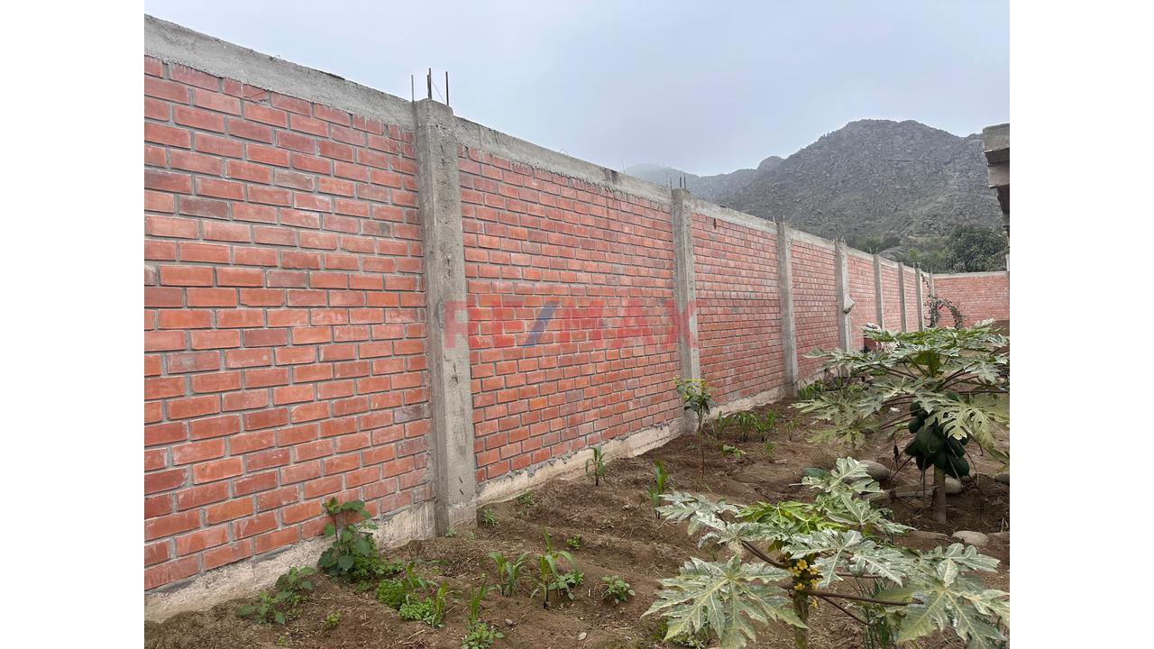 Amplio Terreno Campestre En Venta - Huaral - 12