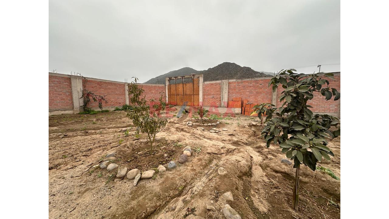 Amplio Terreno Campestre En Venta - Huaral - 11