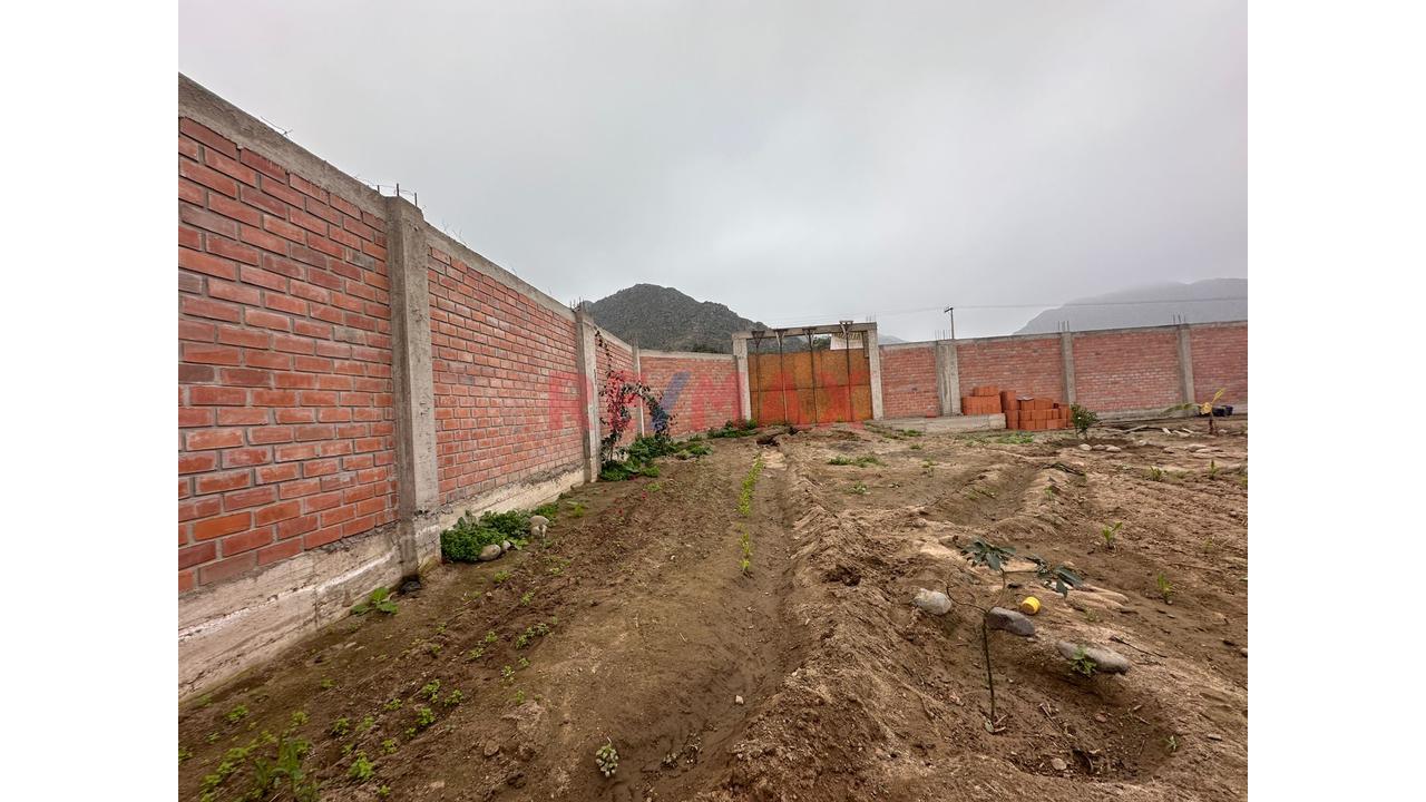 Amplio Terreno Campestre En Venta - Huaral - 13