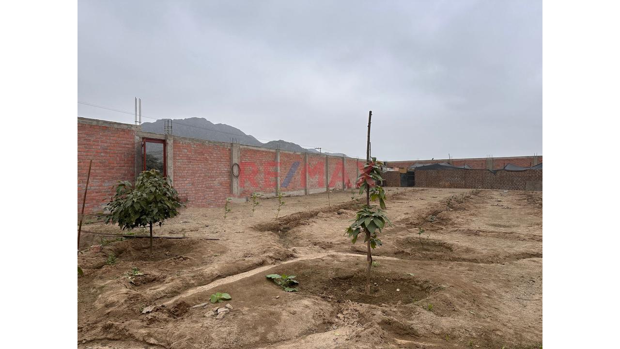 Amplio Terreno Campestre En Venta - Huaral - 4