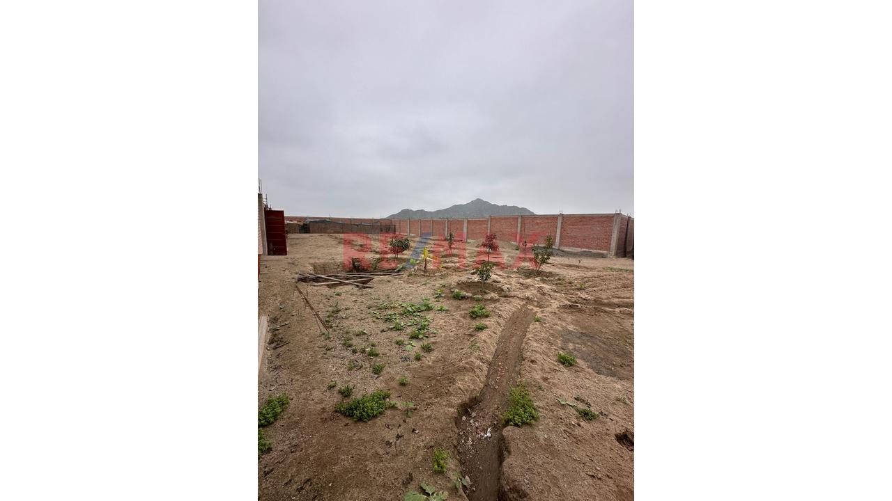 Amplio Terreno Campestre En Venta - Huaral - 5