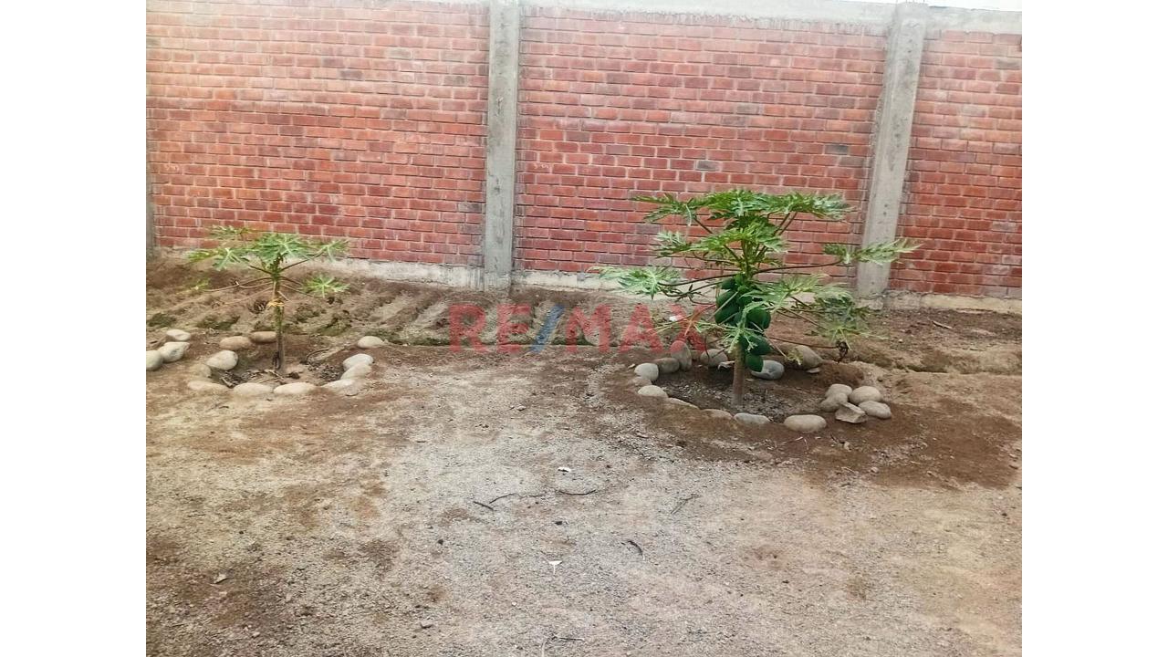 Amplio Terreno Campestre En Venta - Huaral - 9