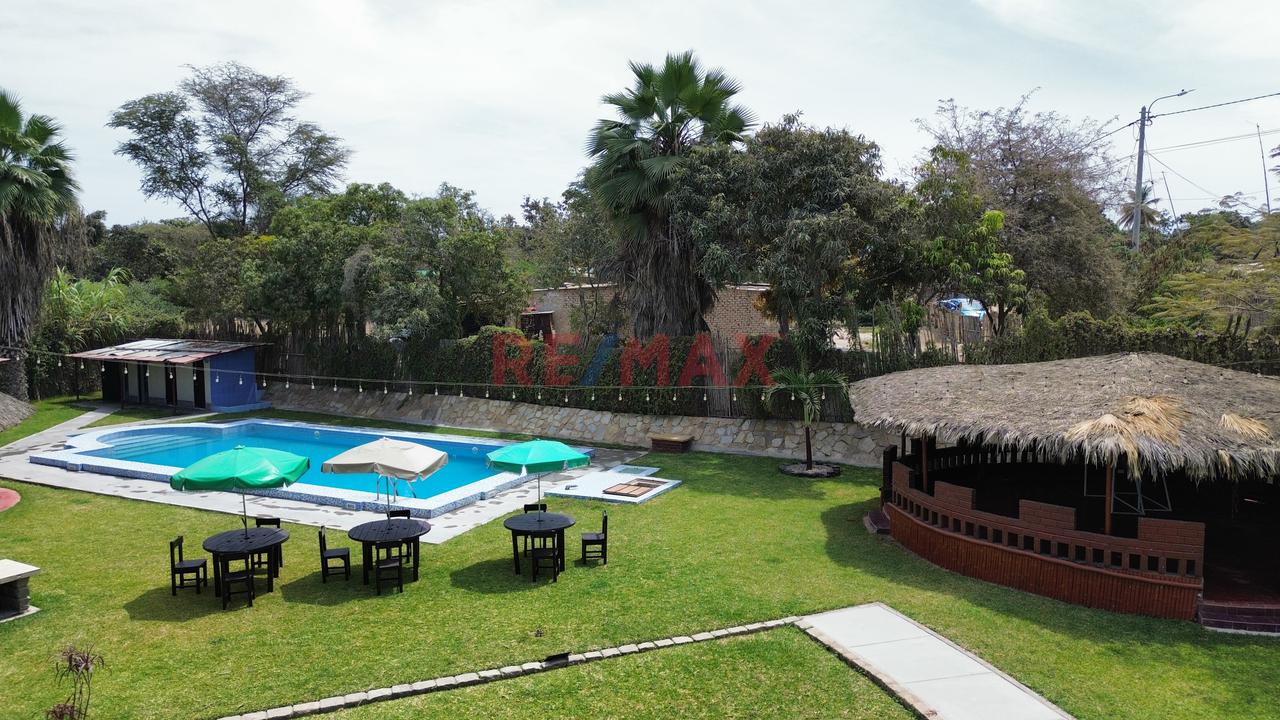 Casa De Campo En Sipán De 3200 M2 – ¡Vive Donde La Historia Cobra Vida! - 3